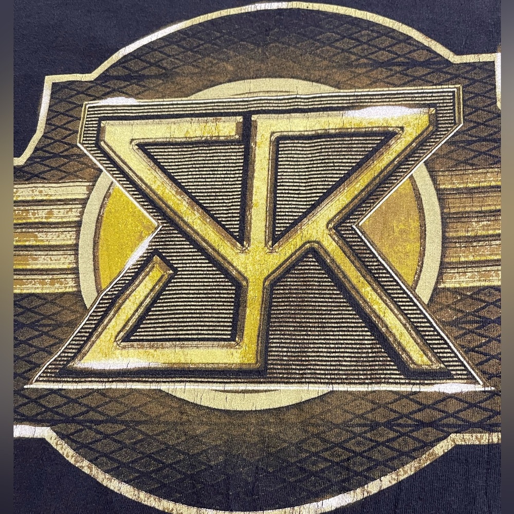 3/$15 WWE Seth freakin Rollins The Undisputed Future T-Shirt Medium - Picture 9 of 9
